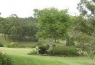 Greens Creek QLDresidential-landscaping-40.jpg; ?>